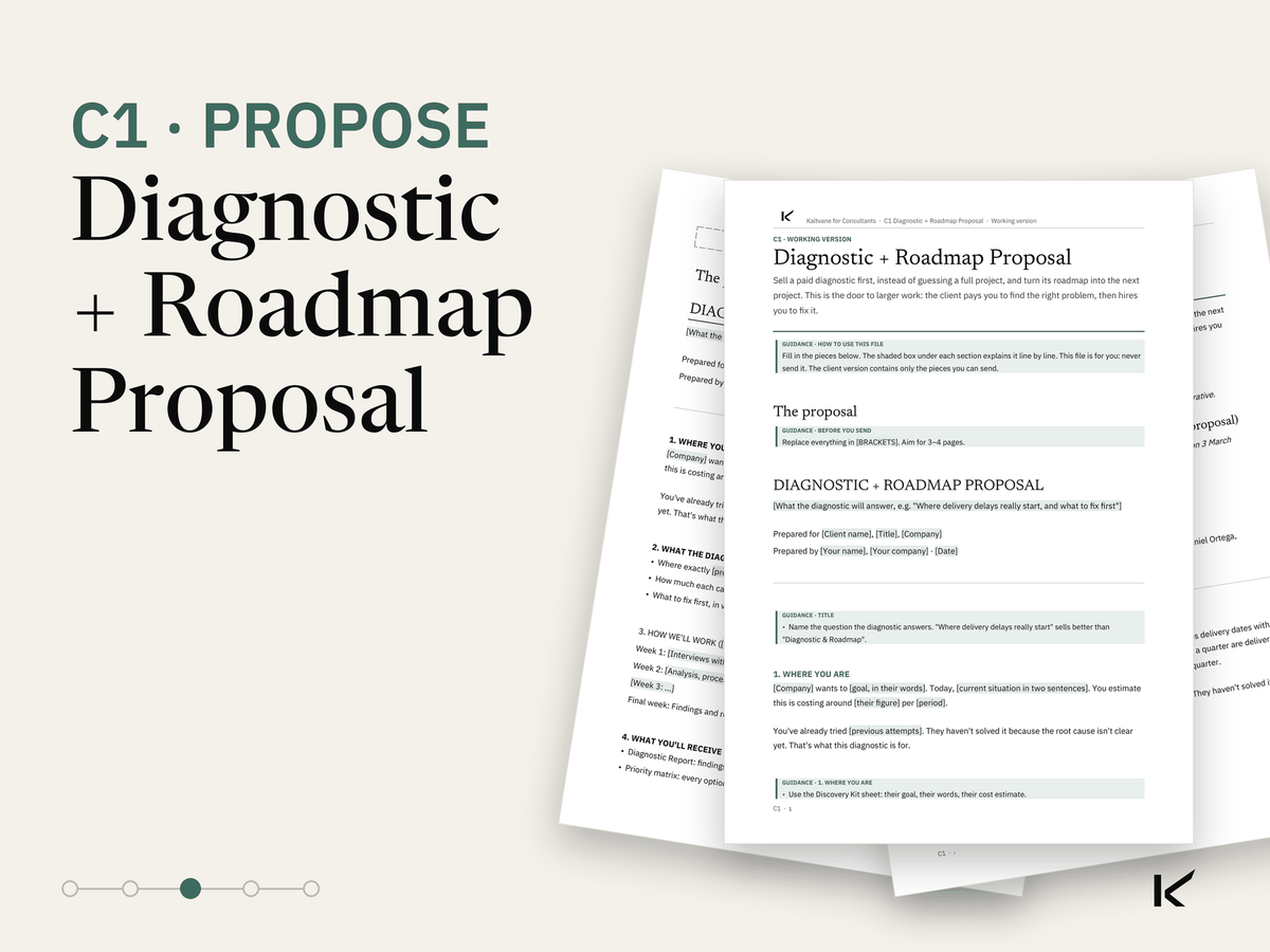 Cover of Diagnostic + Roadmap Proposal
